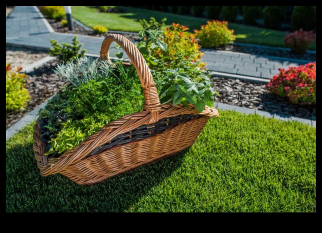 פריחה תקציבית: השראת עשה זאת בעצמך עבור גנים שופעים