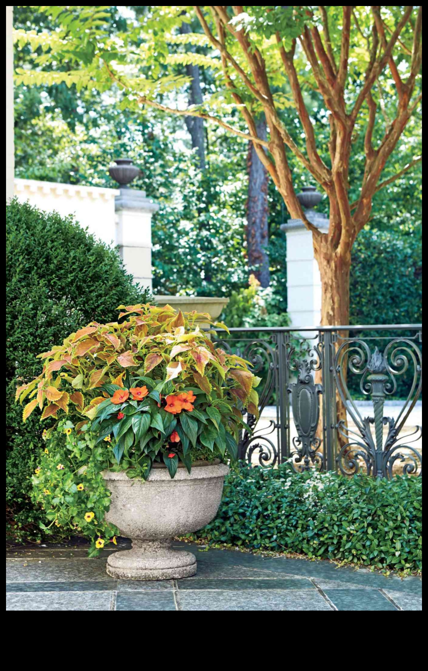 הרמוניה אמנותית: הרם את הגינה שלך עם הדגשים אופנתיים