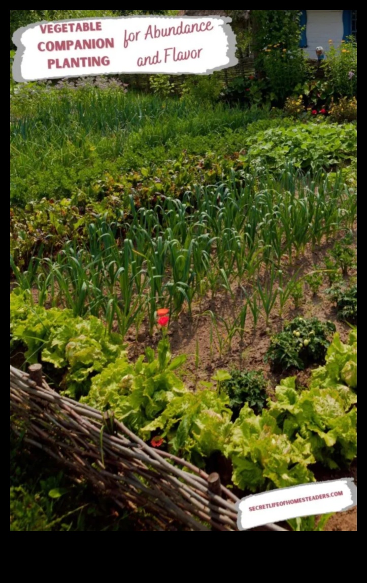 פריחה סימביוטית: פתיחת סודות של נטיעת מלווה