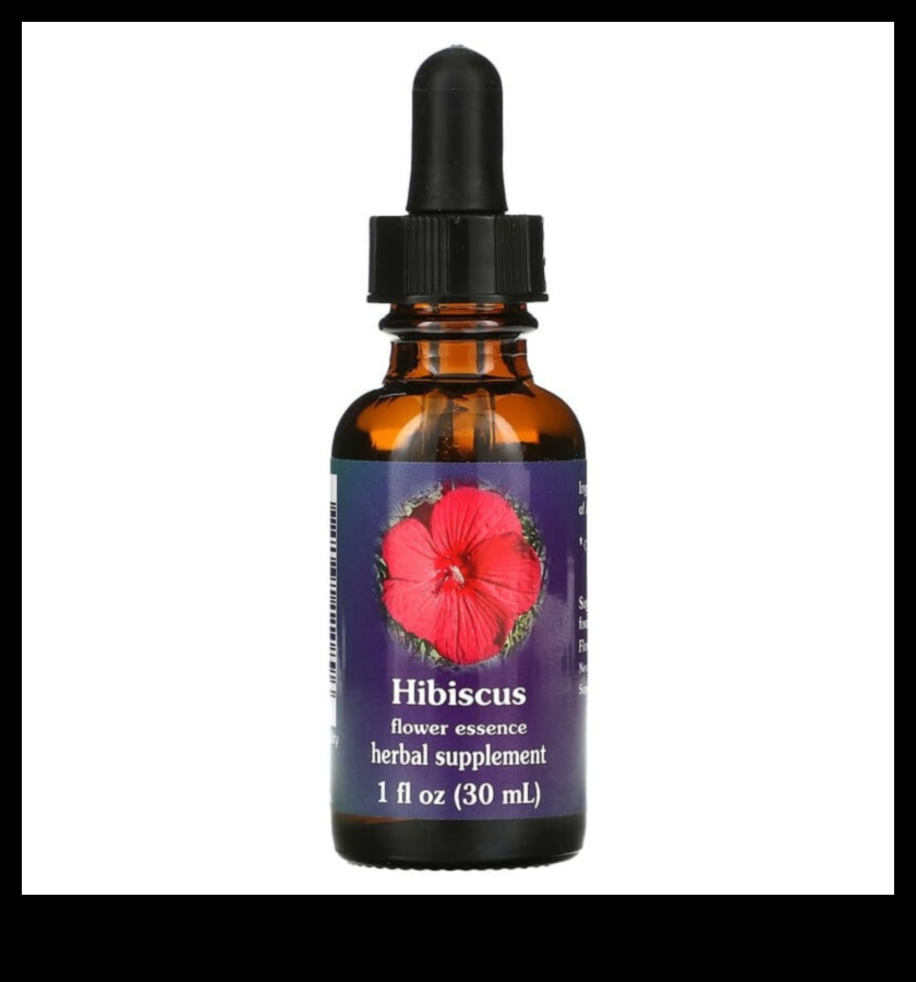 חליטות פרחוניות: לוכדות את המהות של תה היביסקוס טרי