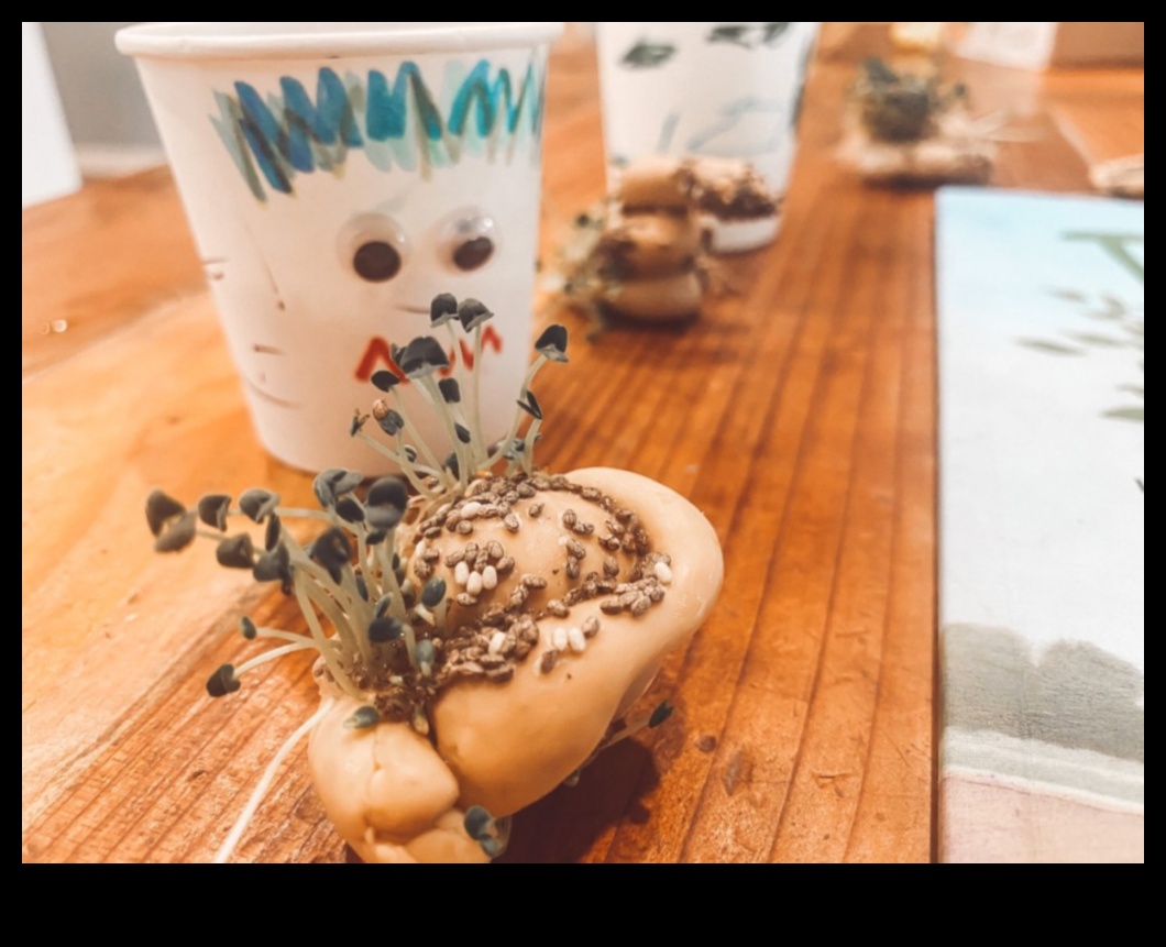 הרפתקאות צ'יה עשה זאת בעצמך: יצירת מרקחות לחות ייחודיות ומלאות טעם