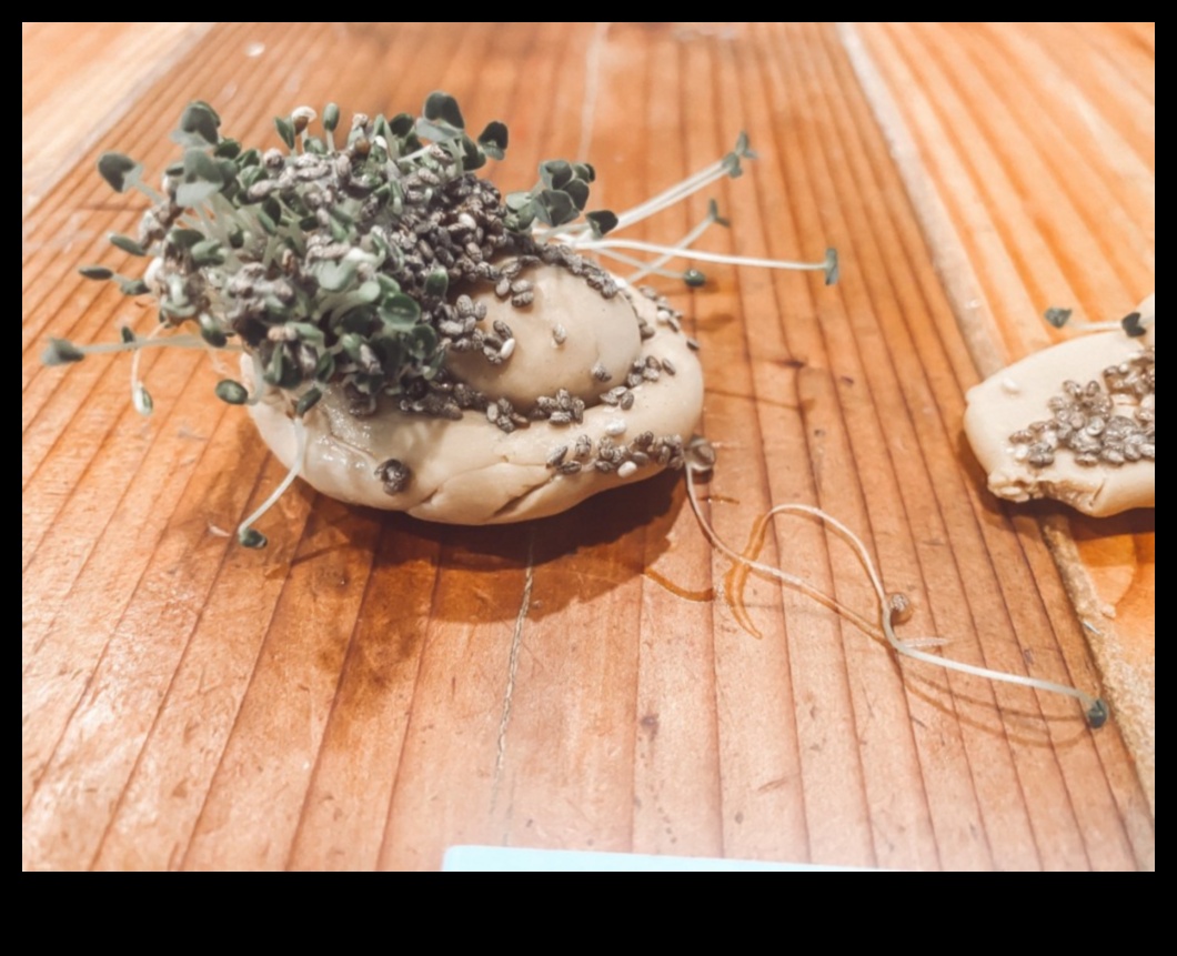 הרפתקאות צ'יה עשה זאת בעצמך: יצירת מרקחות לחות ייחודיות ומלאות טעם