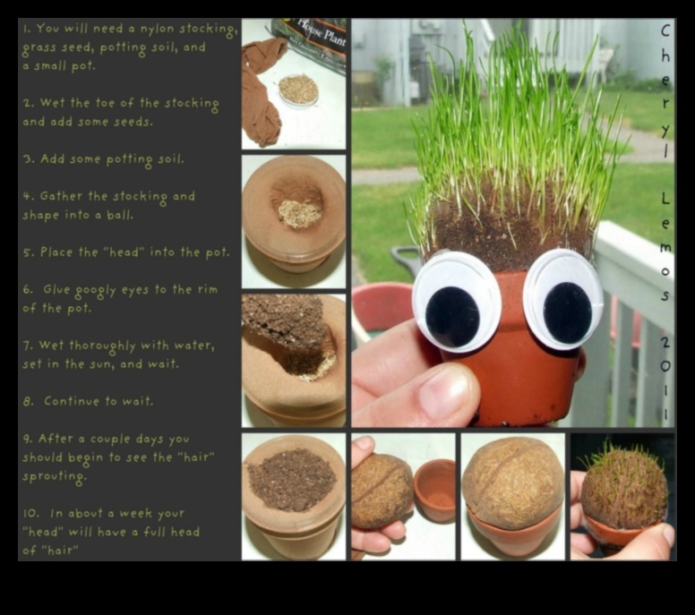 הרפתקאות צ'יה עשה זאת בעצמך: יצירת מרקחות לחות ייחודיות ומלאות טעם