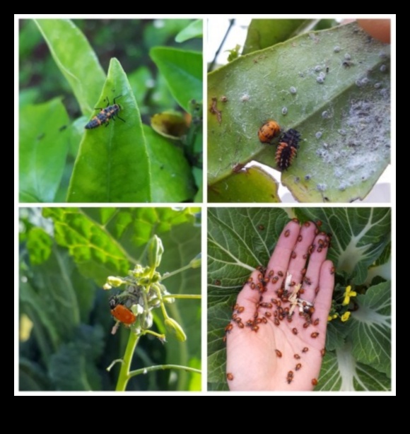 מאבק בחיידקי גן: אסטרטגיות לשלמות נטולת מזיקים