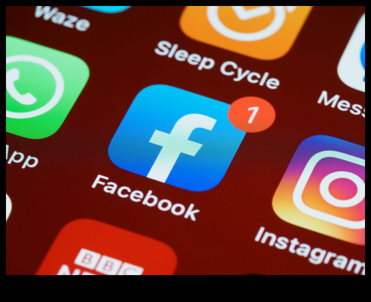 השטיח המקוון: חקר העושר של הרשתות החברתיות