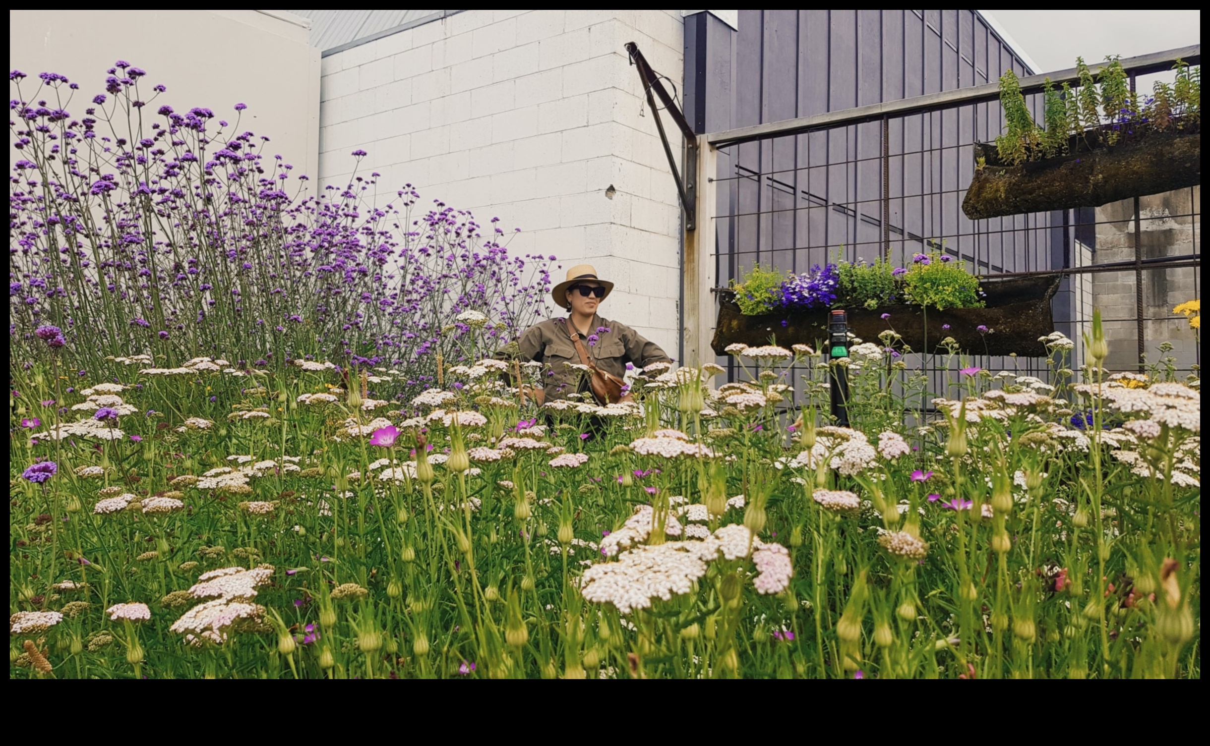 אבני חן בגינה: פתיחת הסודות של טיפול בגן מקצועי