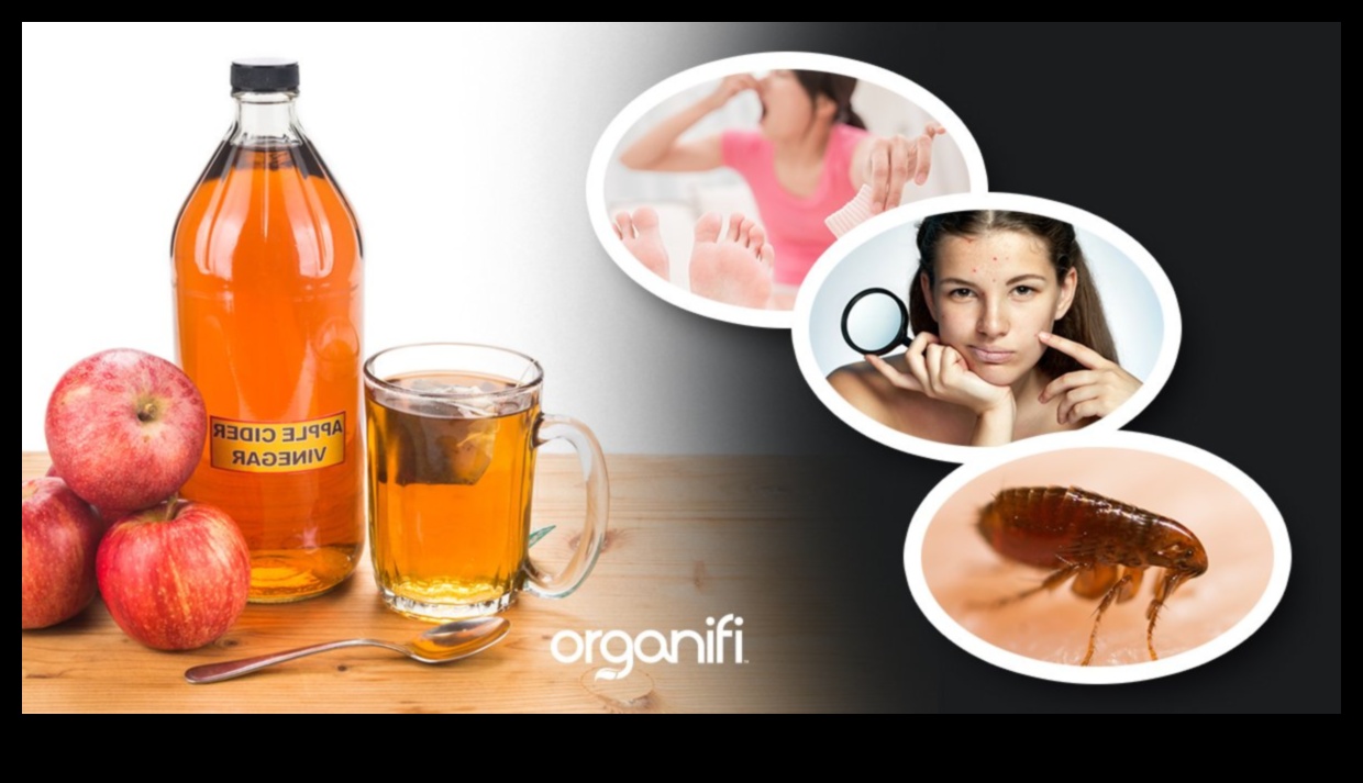 הרפתקאות עשה זאת בעצמך ACV: יצירת מרקחות בריאות ייחודיות וטעימות