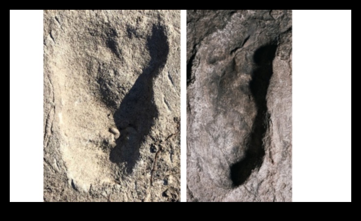 עקבות אבות: חציית שבילי ההיסטוריה