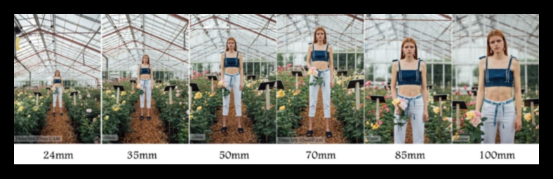 אהבת עדשות: בחירת העדשות המתאימות לסגנון הצילום שלך