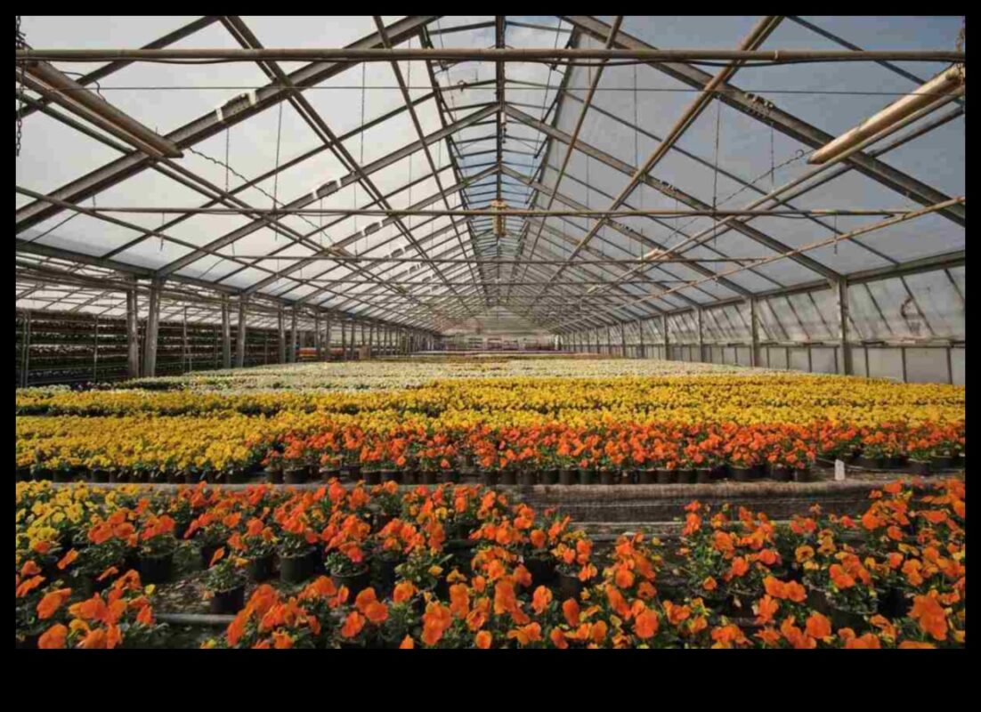 פריחה שופעת: אוצרות חממה מחכים