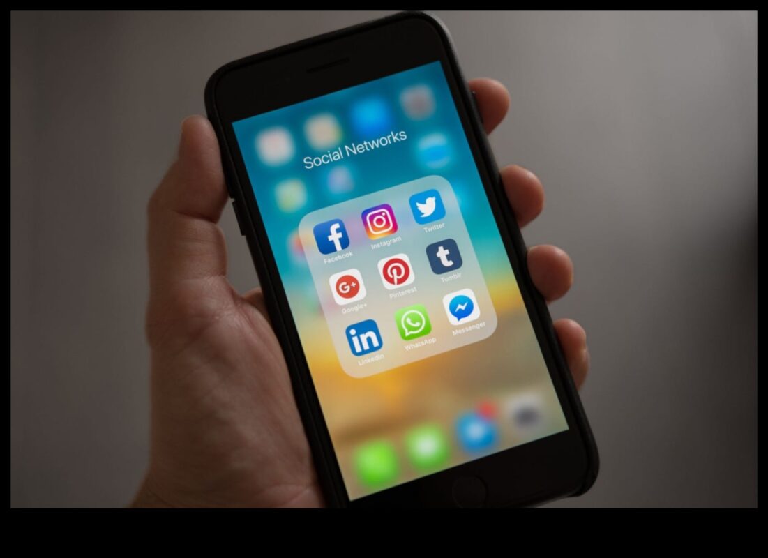 השטיח המקוון: חקר העושר של הרשתות החברתיות