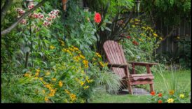 פריחה תקציבית: השראת עשה זאת בעצמך עבור גנים שופעים