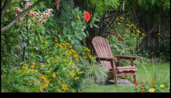 פריחה תקציבית: השראת עשה זאת בעצמך עבור גנים שופעים