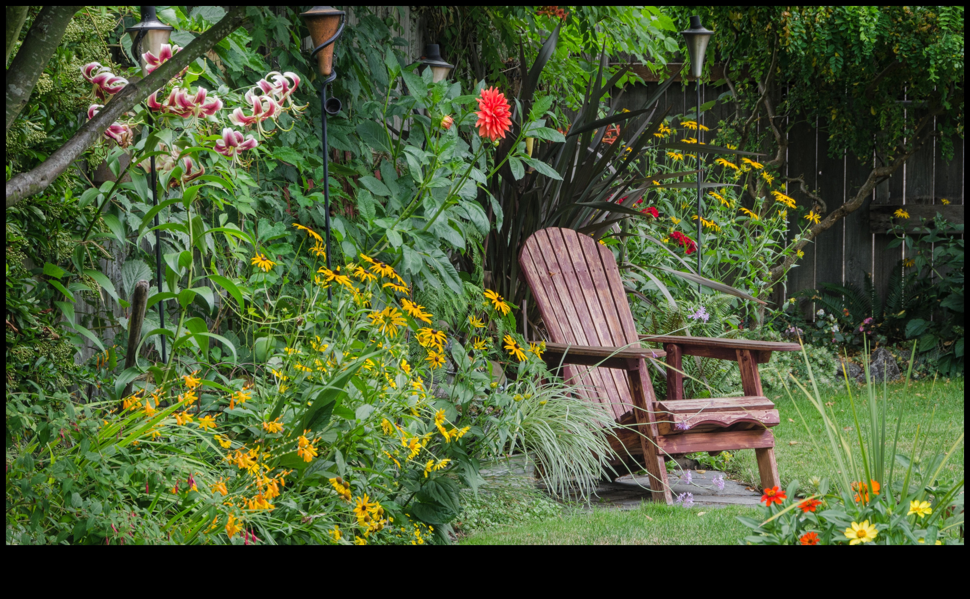 פריחה תקציבית: השראת עשה זאת בעצמך עבור גנים שופעים