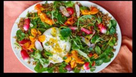 לזרוע, לגדול, זוהר: השראת עשה זאת בעצמך למקלט החיצוני הזוהר שלך