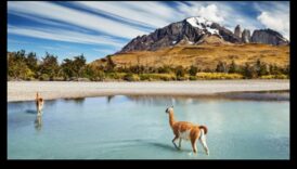מקלט הסיירים: מציאת אושר בנופים ציוריים