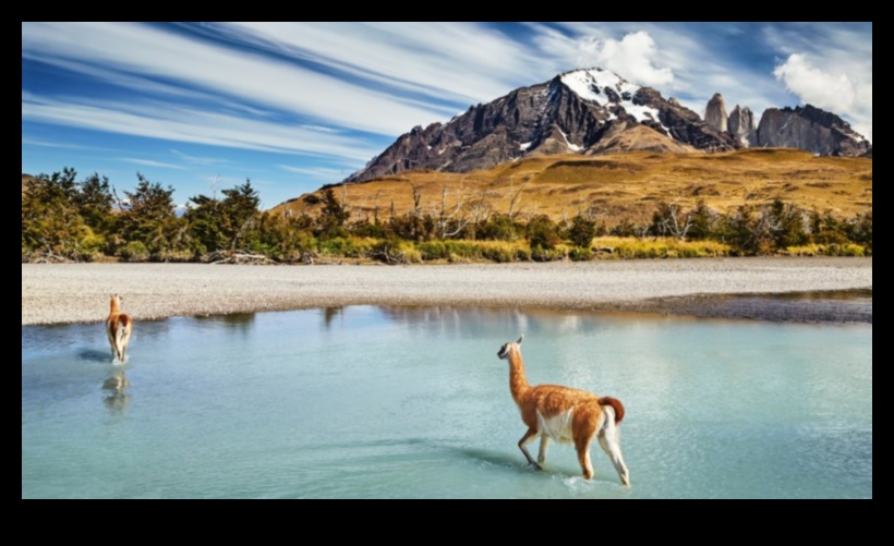מקלט הסיירים: מציאת אושר בנופים ציוריים