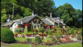 סימפוניה עונתית: הרמוניזציה לשגרת הטיפול בגינה שלך