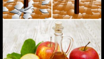 הרפתקאות עשה זאת בעצמך ACV: יצירת מרקחות בריאות ייחודיות וטעימות