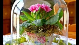 פרויקטי ביתי על ה-Bblossom Brilliance כדי להחיות את לאחרונה האינדיבידואלי שלך 6 Blossom Brilliance: מיזמי עשה זאת בעצמך יצירתיים מחכים