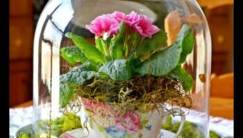 Blossom Brilliance: מיזמי עשה זאת בעצמך יצירתיים מחכים