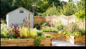 פריחה בסטייל: הרם את הגינה שלך עם בחירות נוחות