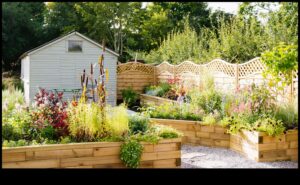 פריחה בסטייל: הרם את הגינה שלך עם בחירות נוחות