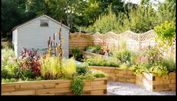 פריחה בסטייל: הרם את הגינה שלך עם בחירות נוחות